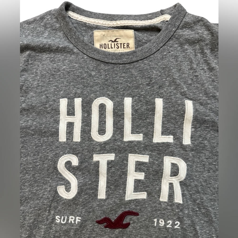 Vintage Y2K Hollister Men’s Great T-Shirt Size Large Embroidery Graphic HCO Surf